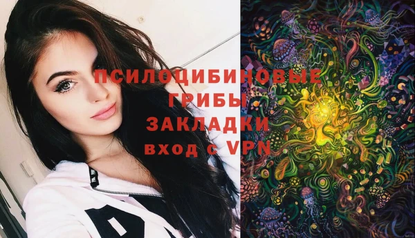 a pvp Алексин